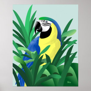 Blue and Gold Macaw Poster