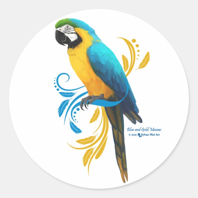 Blue and Gold Macaw Round Sticker (Front)