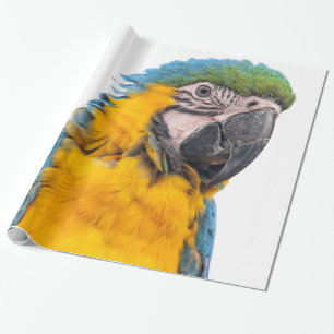 Blue and Gold Macaw Wrapping Paper