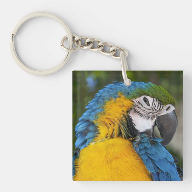 Blue And Gold Parrot Key Ring (Front)