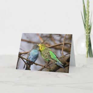 Blue and Green Budgie Birds on a Tree Branch Card