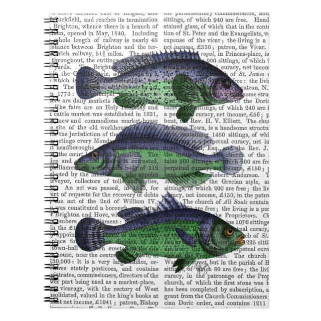 Blue and Green Fish Trio Notebook (Front)