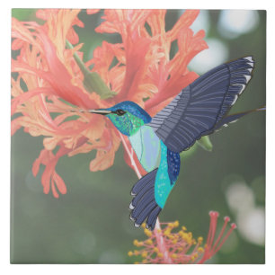 Blue and Green Hummingbird and Orange Hibiscus Ceramic Tile