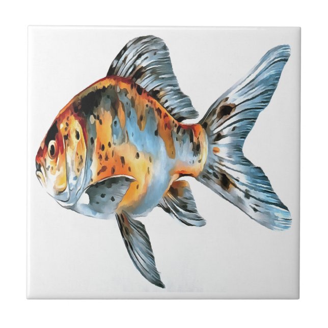 Blue and Orange Shubunkin Goldfish Ceramic Tile (Front)