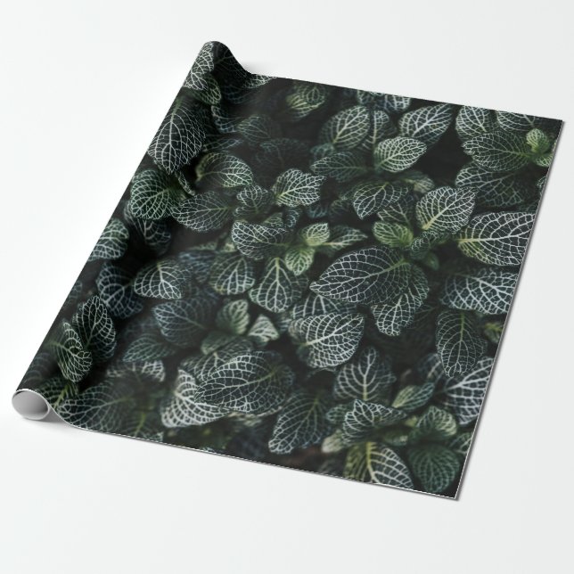 BLUE AND ORANGE SMOKE WRAPPING PAPER (Unrolled)