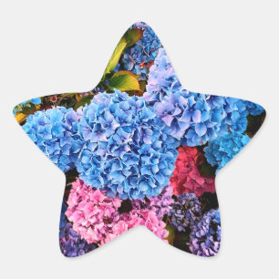 Blue and pink flowers star sticker