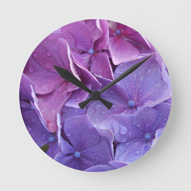 Blue and pink hortensia close up round clock (Front)