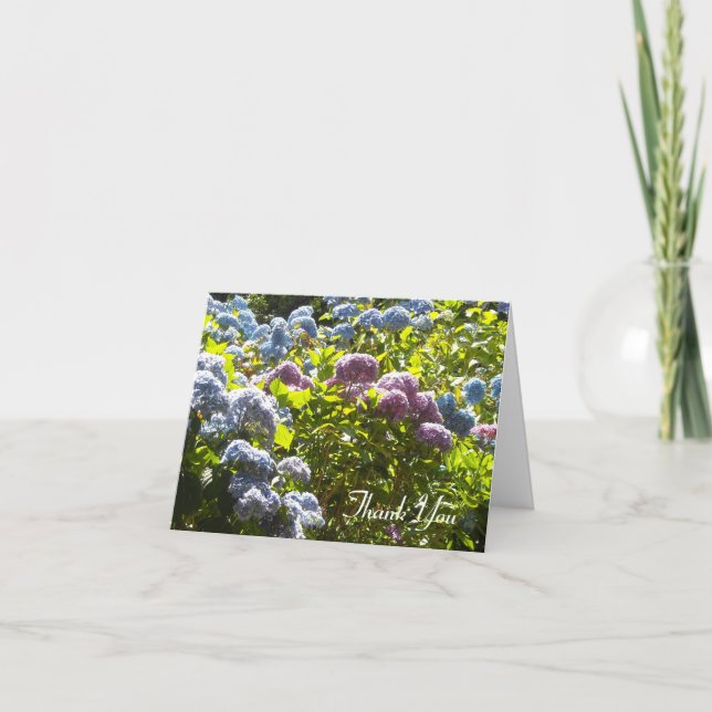 Blue and Pink Hydrangea Thank You (Front)