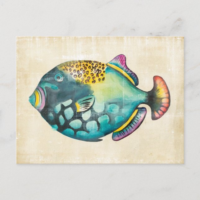 Blue and Purple Aquarium Fish Postcard (Front)