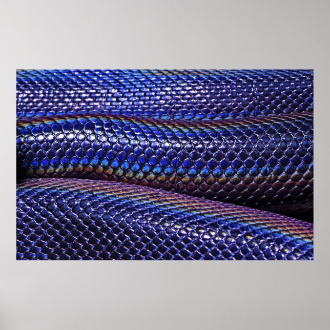 Blue and purple snakeskin poster (Front)