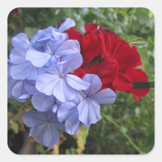 Blue and Red Flowers Invitation Stickers