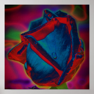 Blue And Red Rosebud Raindrop Abstract Floral  Poster