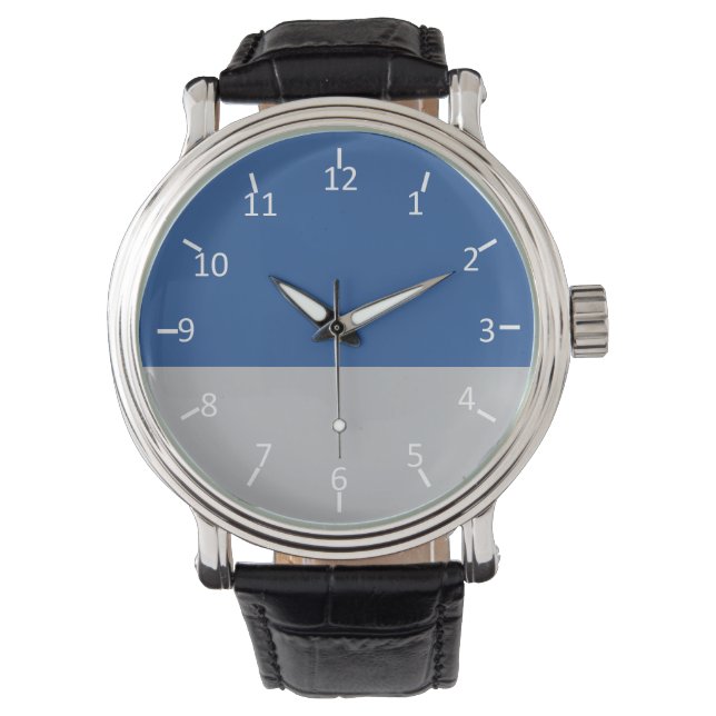 Blue and Silver Force Watch (Front)