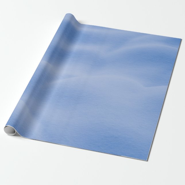 Blue and white area rug wrapping paper (Unrolled)