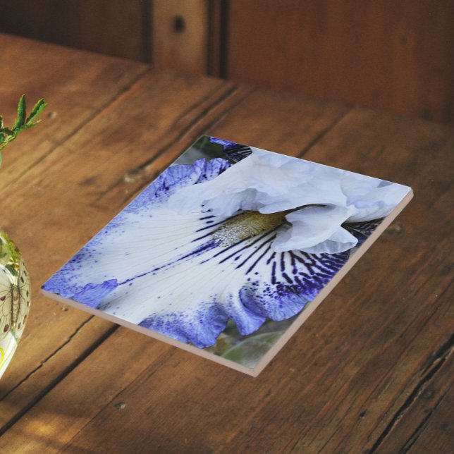 Blue and White Bearded Iris Floral Ceramic Tile (In Situ)