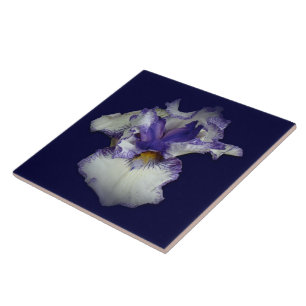 Blue and White Bearded Iris Flower Ceramic Tile
