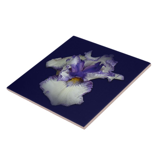 Blue and White Bearded Iris Flower Ceramic Tile (Side)