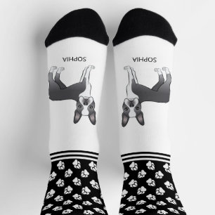 Blue And White Boston Terrier With Name And Paws Socks