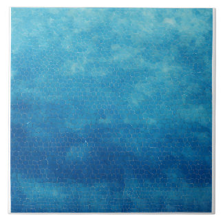 Blue and White Ceramic Tile