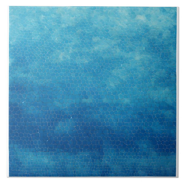 Blue and White Ceramic Tile (Front)