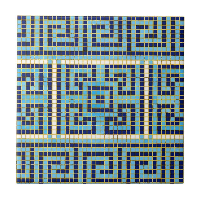 blue and white classic tiles (Front)