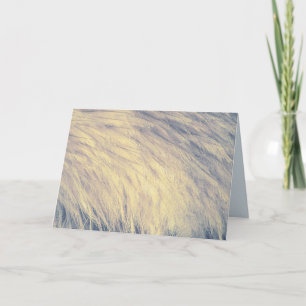 Blue and White  Emu Feathers Card