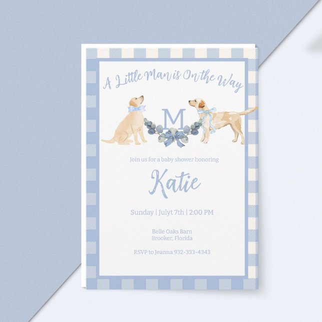 Blue and White Gingham Baby Shower Invitation (Creator Uploaded)
