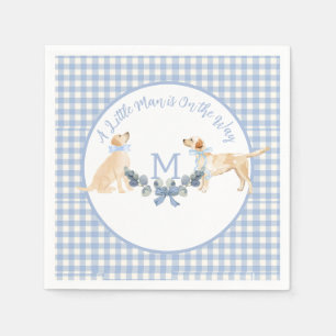 Blue and White Gingham Baby Shower Welcome Sign Napkin