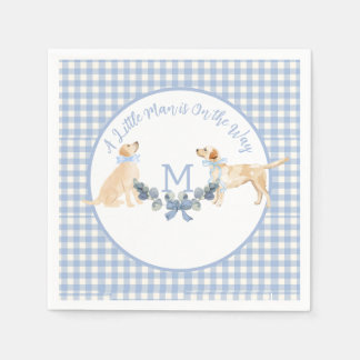 Blue and White Gingham Baby Shower Welcome Sign Napkin