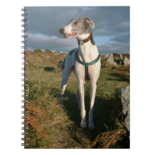Blue and white greyhound notebook