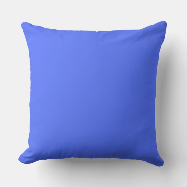 Blue and White Home Decoration Reversible Cushion (Front)
