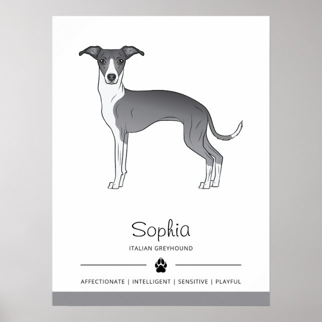 Blue And White Italian Greyhound With Custom Text Poster (Front)