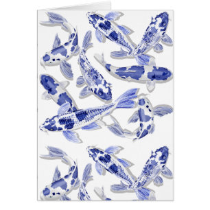 Blue and white Koi