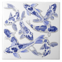Blue and white Koi