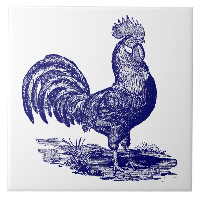 Blue and White Leghorn Rooster Ceramic Tile (Front)