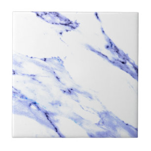 Blue and White Marble Tile
