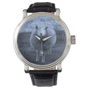 Blue and White Mother sheep. Watch