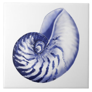 Blue and white nautilus shell ceramic tile