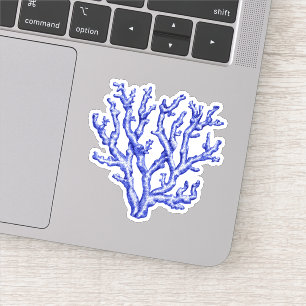 Blue and white sea coral