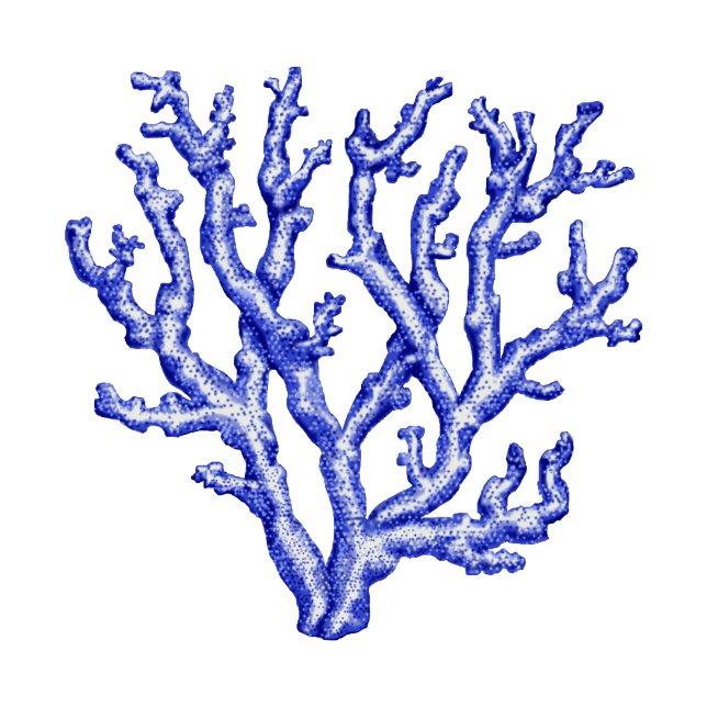 Blue and white sea coral tissue paper (Creator Uploaded)
