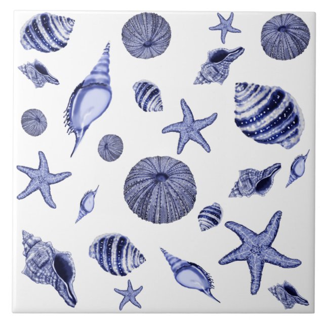 Blue and white seashells  ceramic tile (Front)