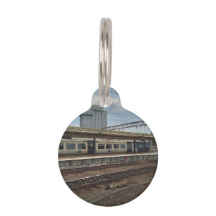 Blue and white train pet tag
