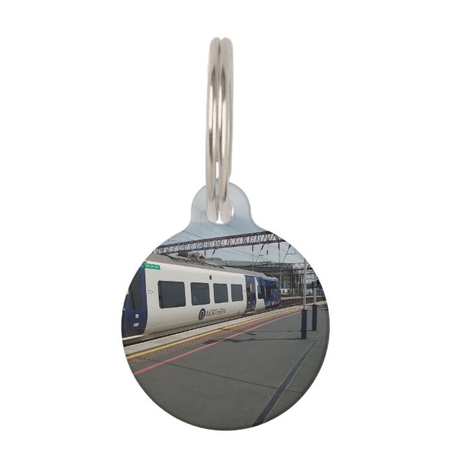 Blue and white train pet tag (Front)