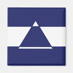 Blue and white triangle shaped magnet