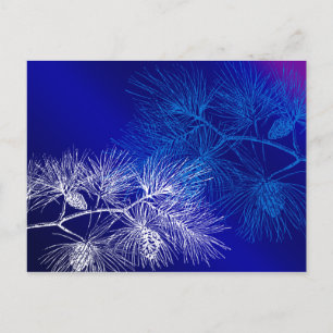 Blue and White Winter Pine Postcard