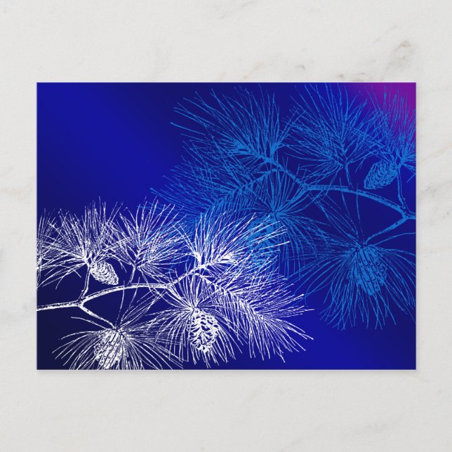 Blue and White Winter Pine Postcard (Front)