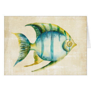 Blue and Yellow Aquarium Fish