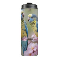 Blue And Yellow Budgies In Pink Blossom Tree,