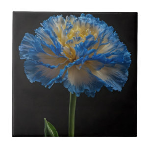 Blue And Yellow Carnation, Ceramic Tile
