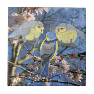 Blue and Yellow Chickadee family Ceramic Tile